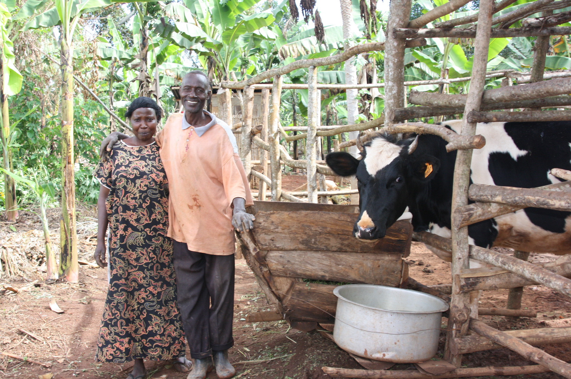 Photo 3 from MicroFinancing Partners in Africa